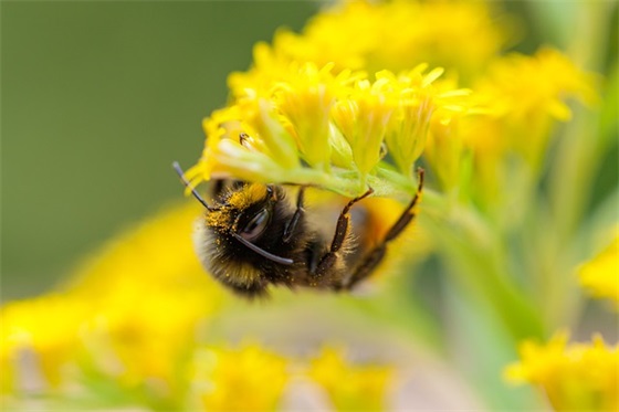 精选的车间品质管理标语大全(精选的安全理念标语大全)