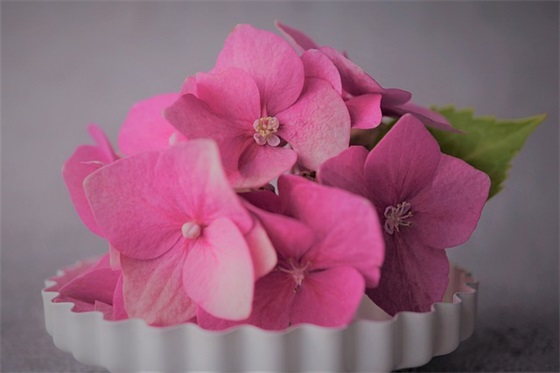 班级踏青口号68句