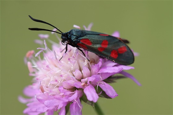 团队精神的口号八个字