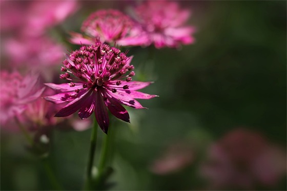 班级体育口号八字74句