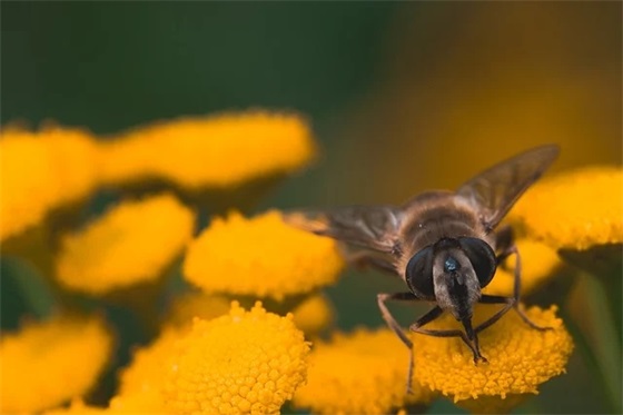 大学招生口号大全51句