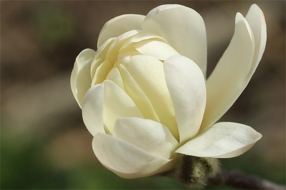 大学的部门口号霸气押韵51句