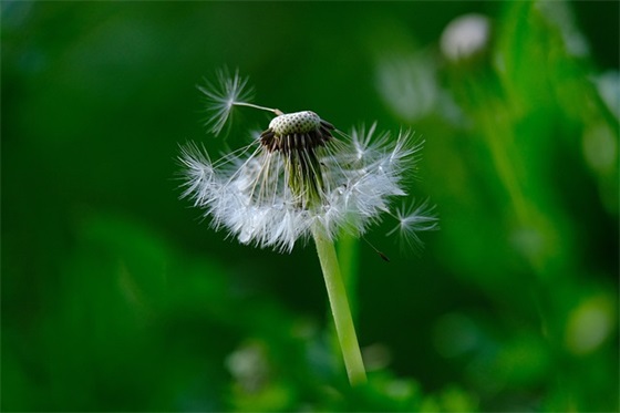 白酒企业口号用语82句