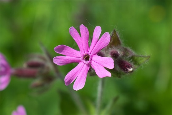 字的销售口号51句