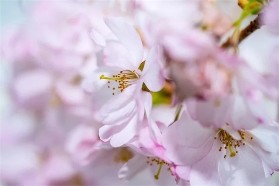 公司加油的口号大全55句