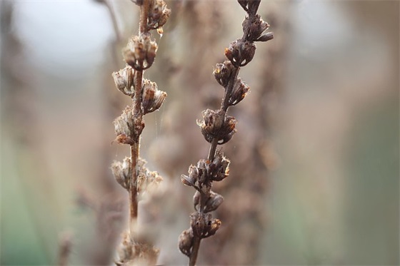 2026秋季新学期开学励志标语口号