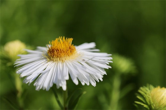学校关爱留守儿童标语 关爱留守儿童标语