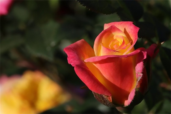 精选的16字安全标语大全 16字安全标语口号大全