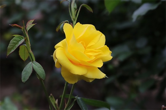 旅游社宣传口号83句 旅游社宣传口号83句