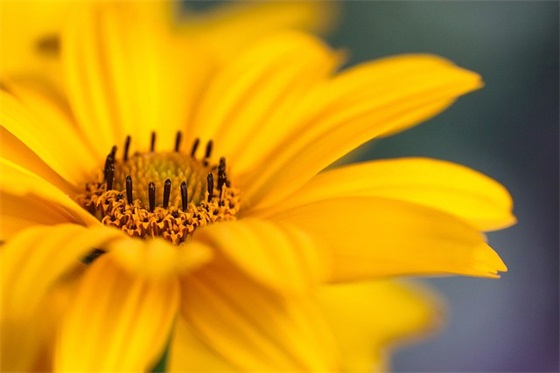 霸气体育跑步口号85句 霸气体育跑步口号85句