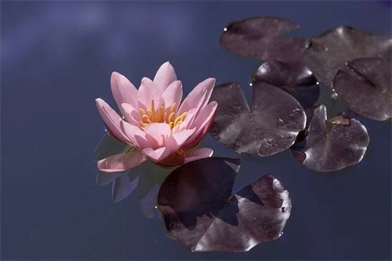 厂区环保标语58句 厂区环保标语58句