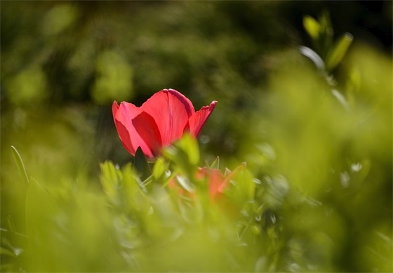 家具企业目标口号大全83句