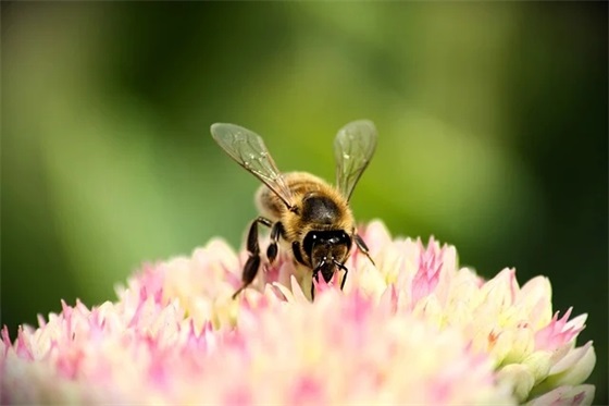 精选的校园的标语大全 校园环保标语大全