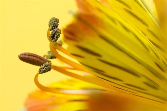 酒类销售口号82句