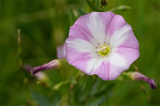 秋季运动必胜宣传口号标语