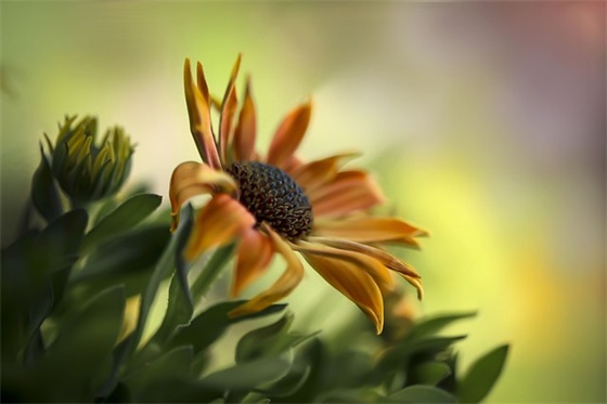 节约用水的口号 节约用水口号