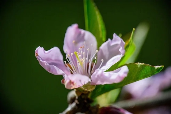 每日写字打卡标语