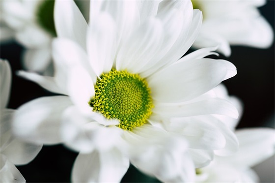 16字的口号霸气押韵50句