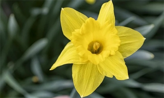 2026清明节活动宣传标语 清明节餐饮活动标语