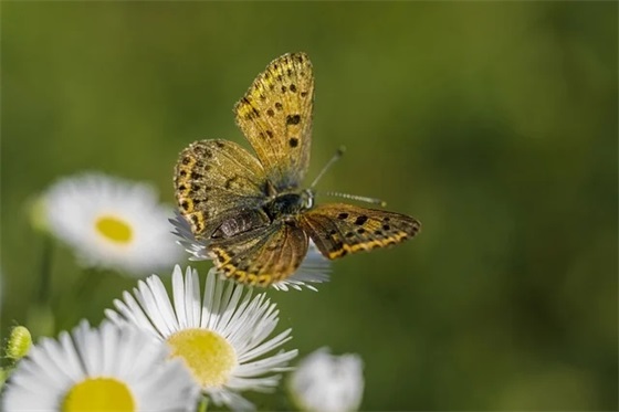 2026决战高考经典口号句子 高三励志口号16字