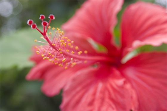 大班的口号大全 大班口号大全