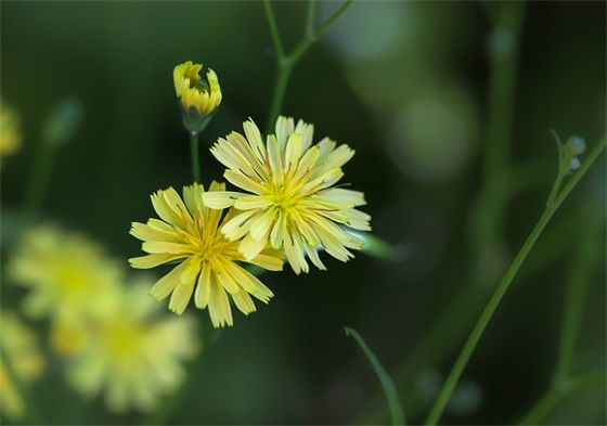 化妆品公司企业口号83句