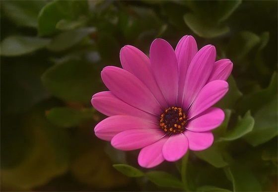 环保小宣传标语 小学生环保宣传标语