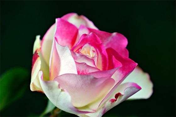 公交车里面用的安全标语85句