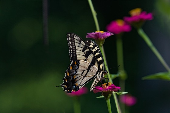 关于销售口号激励霸气押韵大全销售口号励志奋斗句子