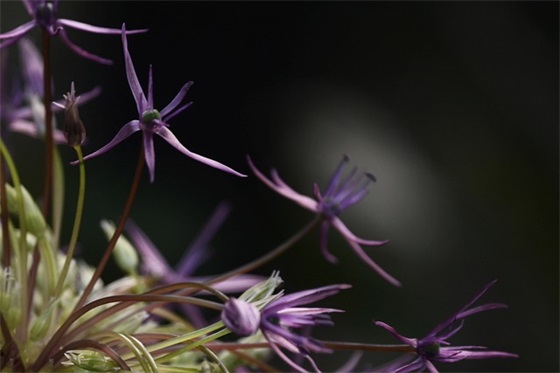 2026中考的励志口号大全