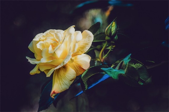 班级发展口号76句