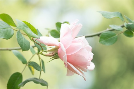 理财销售口号81句