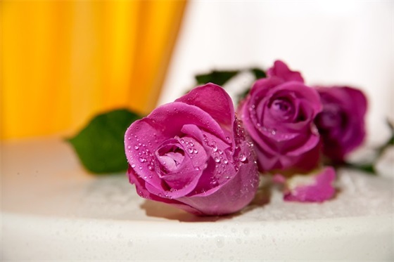 旅游主题形象宣传口号83句