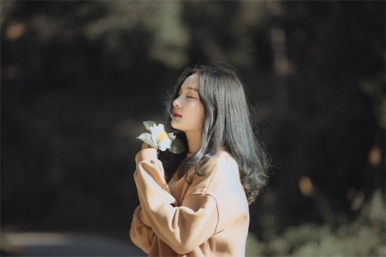 家教家风我来说宣传标语