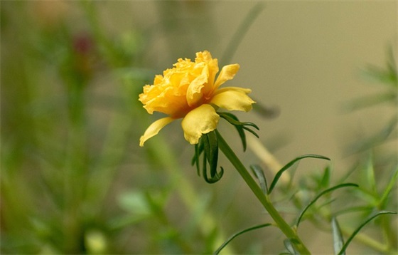 霸气的口号字83句