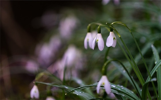 工作口号大全 工作团队口号大全