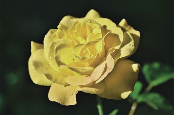 残疾人标语 残疾人标语大全