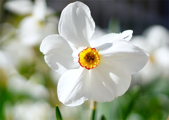 护肤企业口号84句