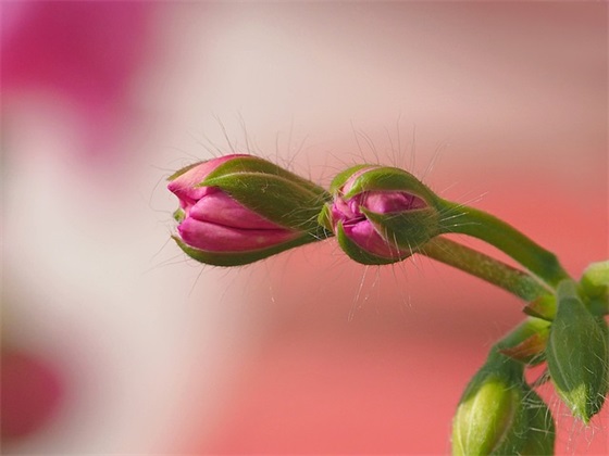 红酒企业口号84句