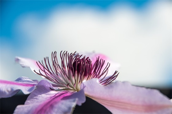 驾校响亮口号大全85句