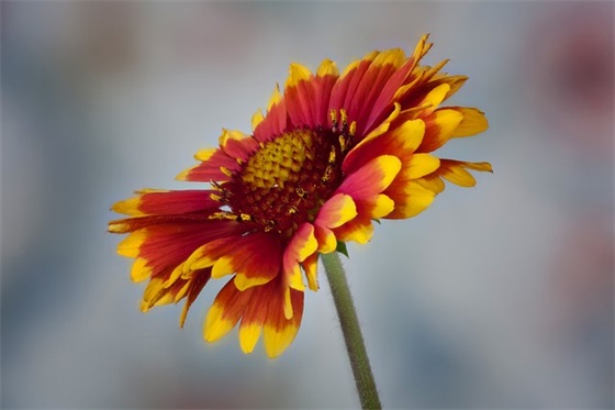 电销销售团队口号59句