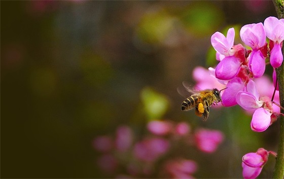保险行业销售口号82句