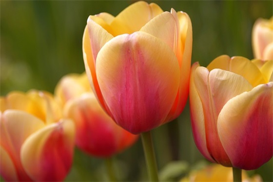 工厂质量口号大全 工厂标语口号大全