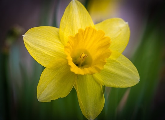 激励霸气的口号大全84句