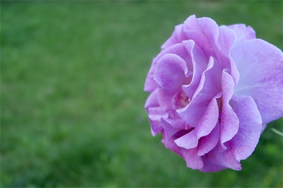 脱贫攻坚2026收官标语口号 脱贫攻坚口号