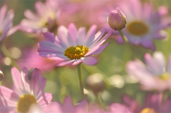 产品口号简短霸气83句