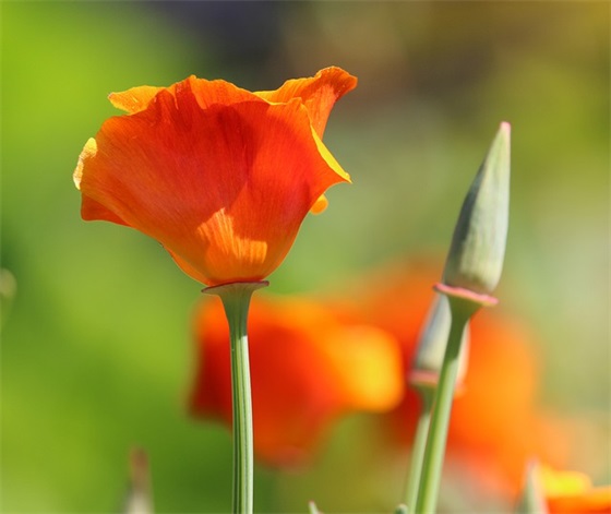 环保口号大全85句