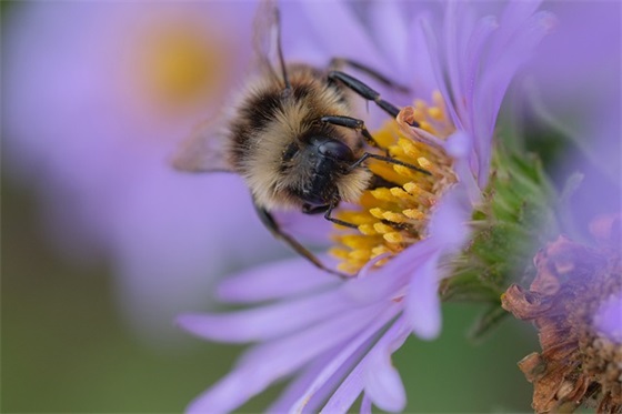 老同学相聚的精美句子
