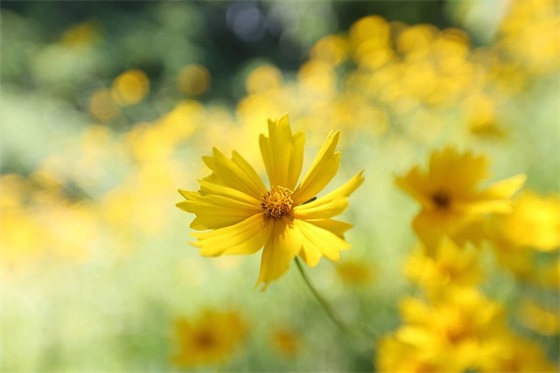 充满阳光正能量的句子 充满阳光正能量的群名