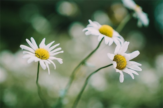 表达人生迷茫的句子 人生渺茫的句子